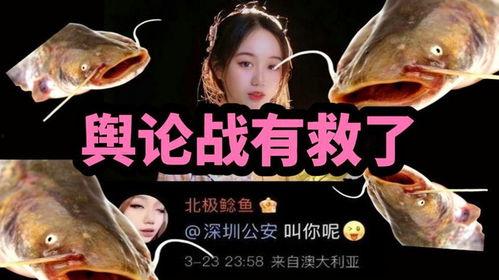 北极鲶鱼爆料博主视频,揭秘博主爆料视频背后的真相 第2张 北极鲶鱼爆料博主视频,揭秘博主爆料视频背后的真相 第2张