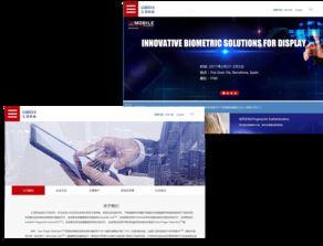 汇顶科技最新爆料解读,揭秘芯片行业新动态与技术创新 第2张 汇顶科技最新爆料解读,揭秘芯片行业新动态与技术创新 第2张