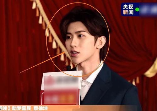 蔡徐坤采访爆料视频大全,揭秘偶像背后的故事与心声 第2张 蔡徐坤采访爆料视频大全,揭秘偶像背后的故事与心声 第2张